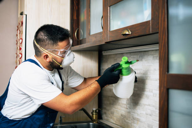 Best Pest Control for Restaurants  in Fort Valley, GA