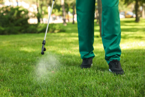 Best Insect Control  in Fort Valley, GA