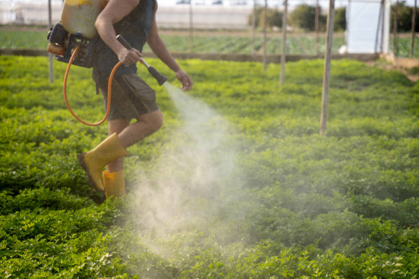 Best Local Pest Control Services  in Fort Valley, GA