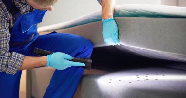 Best Pest Control Near Me  in Fort Valley, GA