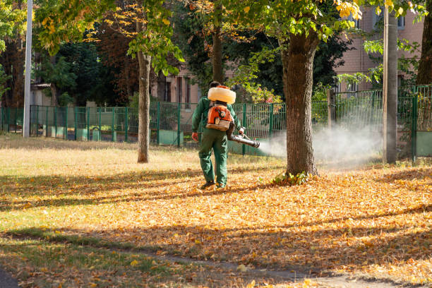 Best Affordable Pest Control Services  in Fort Valley, GA
