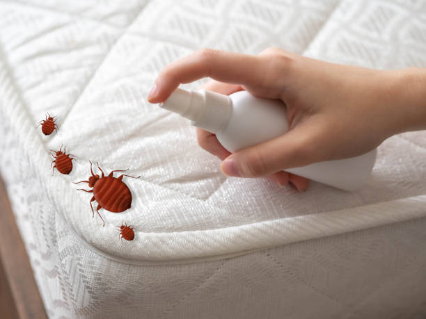 Best Best Pest Control Companies  in Fort Valley, GA