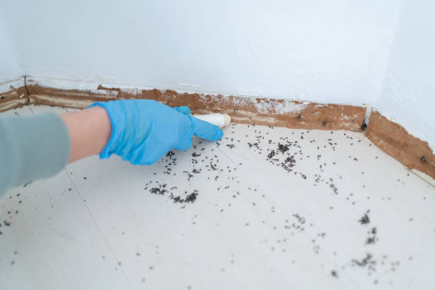 Best Emergency Pest Control  in Fort Valley, GA